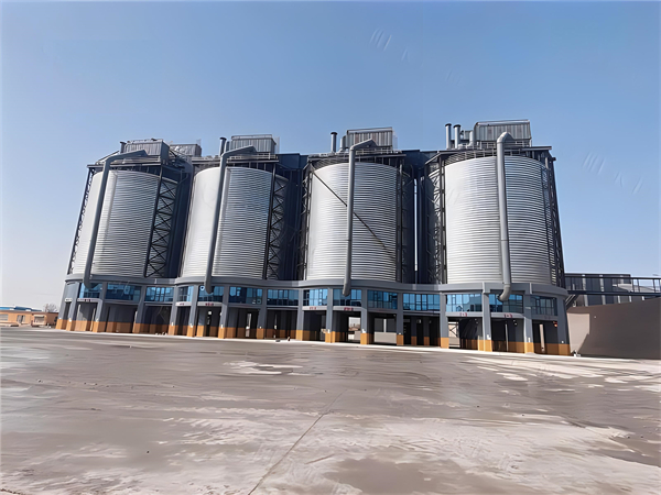 温州大型钢板仓建造施工造价分析与优化策略